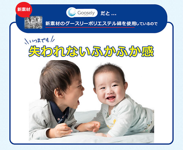 Goosely NEW グースリー 2 羽毛 を超えた 洗える 掛布団