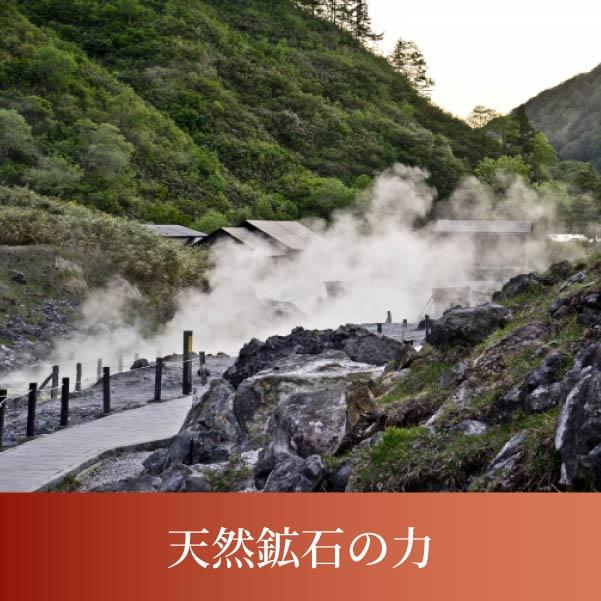 グースリー リカバー 敷パット シングル ホルミシス敷きパット 100 × 200cm