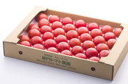 フルーツトマト 3kg