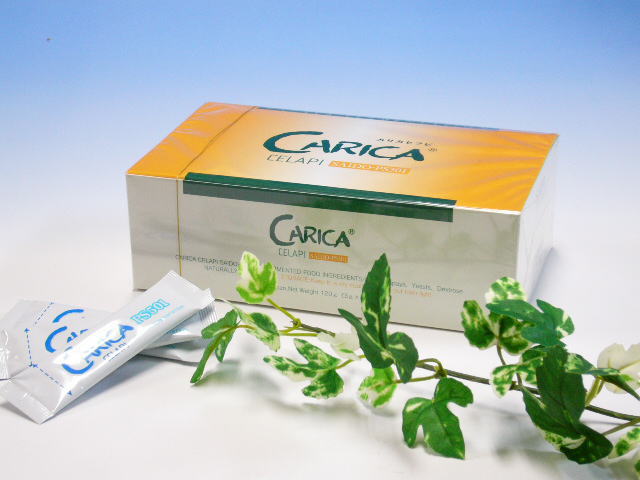 カリカセラピPS501 （3ｇ×40包）　〜無添加パパイア発酵食品〜