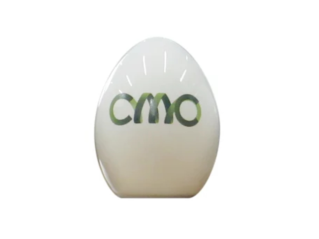 「CMC たまご」　〜冷蔵庫用食品活性化材〜