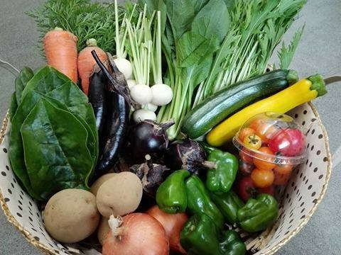 「OBUSE Meguru 野菜セット」　～めぐる・自然の法則を応用して栽培された信州産の野菜・果樹～