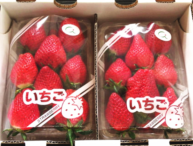 【期間限定販売】　飯村農園のイチゴ　（品種： やよい姫/あまえくぼ/恋みのり）　〜テネモス理論・自然の法則を応用して栽培された苺（農薬不使用・無施肥）〜
