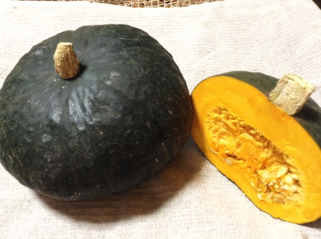 北信州産 長野県産 カボチャ 農薬 化学肥料不使用 の販売 信州健康倶楽部