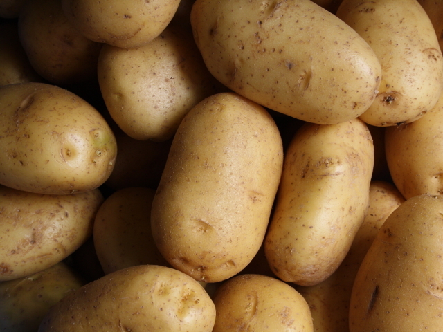 「OBUSE Meguru Lab.　じゃがいも　（4ｋｇ）」　〜Meguru・自然の法則を応用して栽培された信州産じゃがいも〜