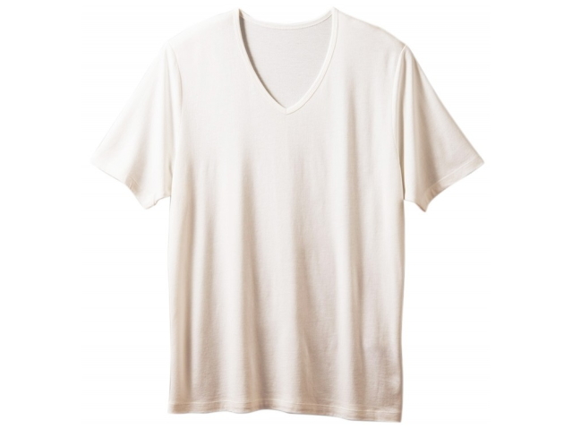 TAKEFU　竹布　VネックTシャツ　Men's　〜癒しと生命力をもたらす天然素材〜