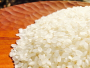 【50％OFF】「飯村農園のお米　コシヒカリ/イセヒカリ/ミルキークイーン　（2021年米　/　5ｋｇ・10ｋｇ・20ｋｇ）」　～テネモス理論・自然の法則を応用して栽培されたツヤツヤ・ピッカピカのお米（栽培期間中農薬不使用・無施肥）～