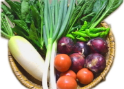 「北信州季節の野菜セット　（7～10種類　/　2～4人分：およそ1週間で食べきれる量です）」　【毎週月曜日と木曜日に産地より発送】　～北信州の農家さんが大切な家族のために作る農薬・化学肥料不使用のお野菜です♪～
