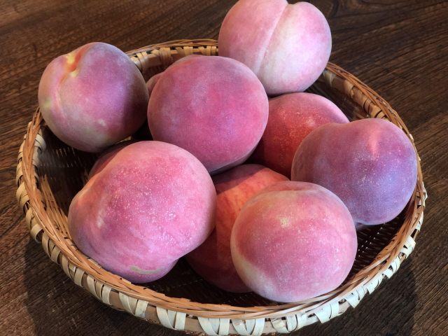「OBUSE Meguru Lab.　桃（2キロ）」　～Meguru・自然の法則を応用して栽培された信州産桃～