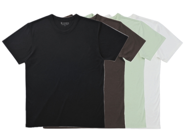 TAKEFU　竹布Ｔシャツ Men's （丸首半袖）　〜癒しと生命力をもたらす天然素材〜