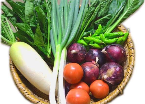 「北信州季節の野菜セット　（7〜10種類　/　2〜4人分：およそ1週間で食べきれる量です）」　【毎週月曜日と木曜日に産地より発送】　〜北信州の農家さんが大切な家族のために作る農薬・化学肥料不使用のお野菜です♪〜