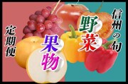 信州の旬 野菜・果物定期便【全６回お届け】【送料無料】