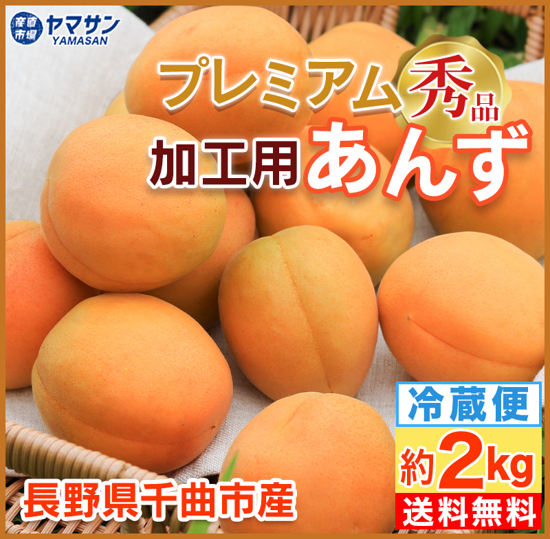 専用出品　あんず様5kg 長野県千曲市産 加工用 生あんず 約5kg 5キロ箱 令和8年産 冷蔵便