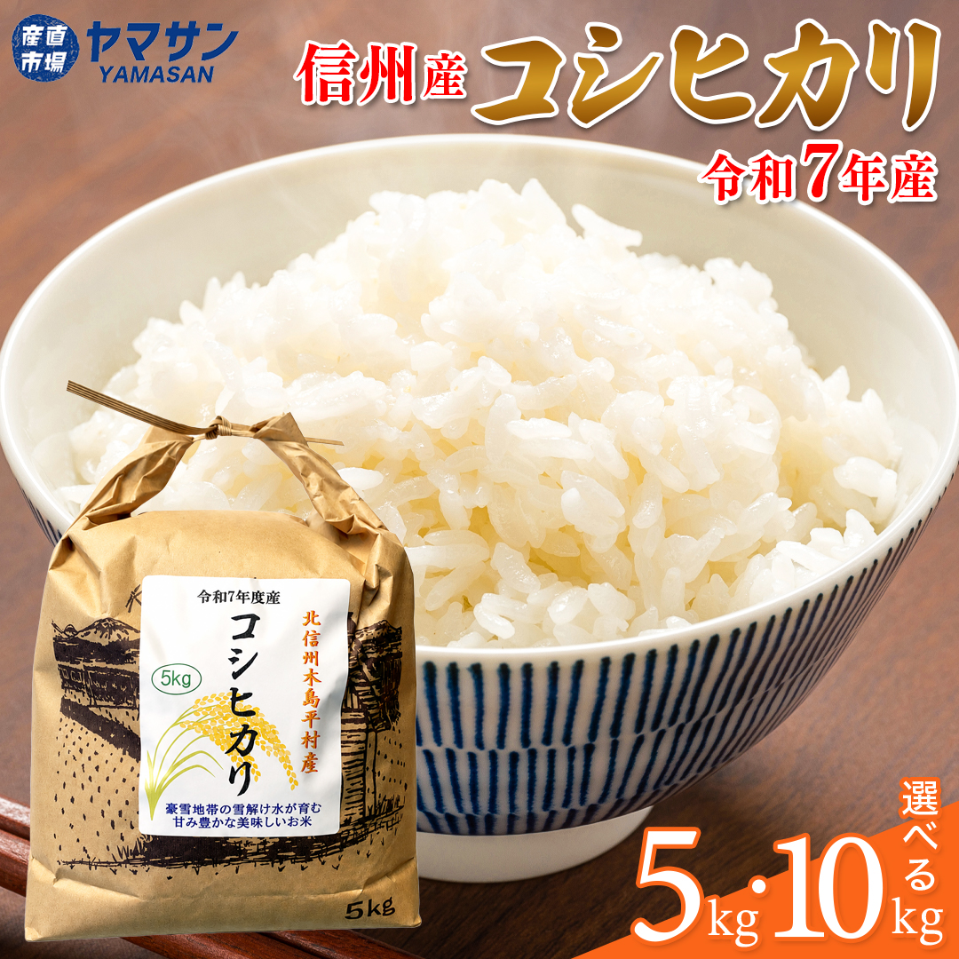 木島平村産こしひかり コシヒカリ 5kg 10kg