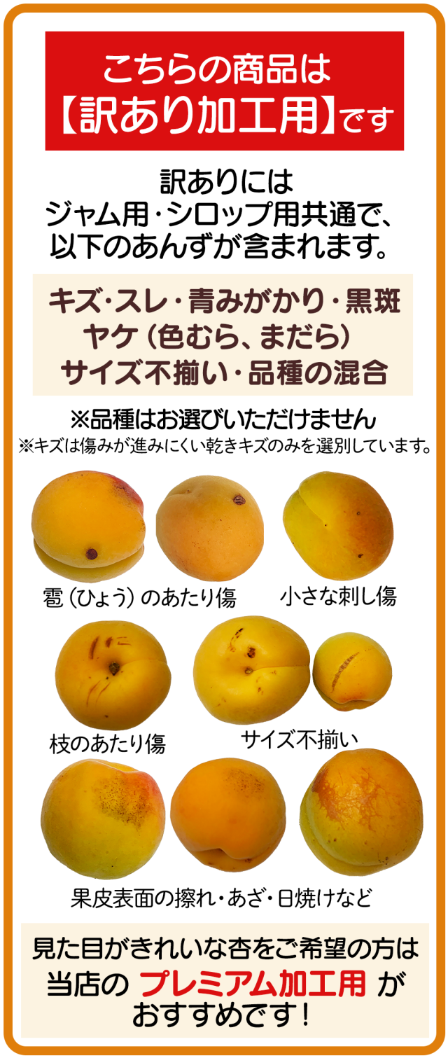 ★平和　5kg 信州産 あんず　杏　生あんず　アプリコット ☆平和 5kg 信州産 あんず 杏 生あんず アプリコット - メルカリ