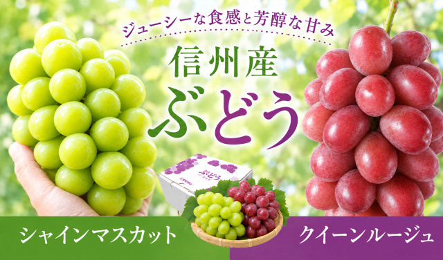 信州千曲の産直ショップ！信州産あんず、なめ茸、昆虫食は産直市場