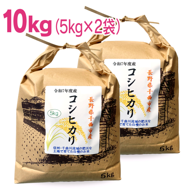 長野県千曲市産 コシヒカリ 選べる5kg 10kg 令和7年産 こしひかり 5