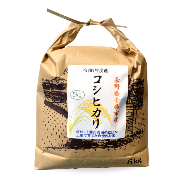 長野県千曲市産 コシヒカリ 選べる5kg 10kg 令和7年産 こしひかり 5