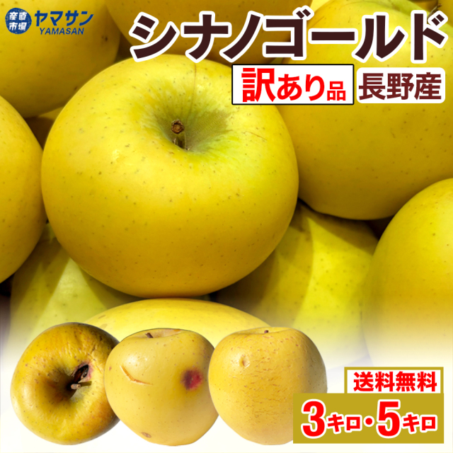 シナノゴールド訳ありTOP