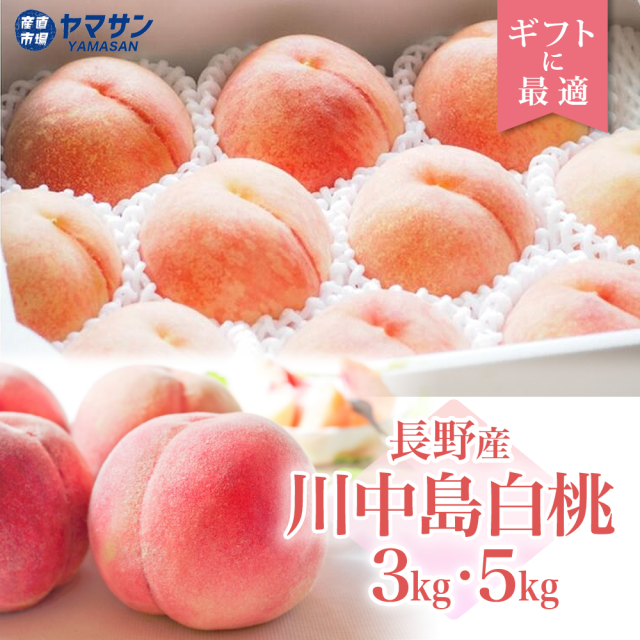 川中島白桃