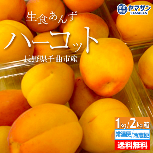 生あんず　ハーコット　常温便　冷蔵便