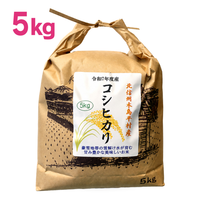 長野県木島平村産 コシヒカリ 選べる5kg 10kg 令和7年産 こしひかり