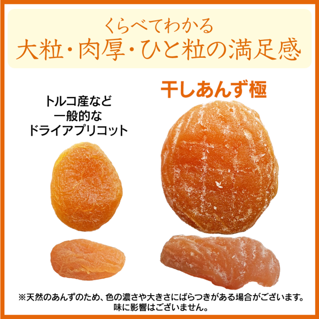 干しあんず極（きわみ） 80g または 165g×1袋 長野県千曲市産あんず