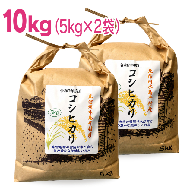 長野県木島平村産 コシヒカリ 選べる5kg 10kg 令和7年産 こしひかり
