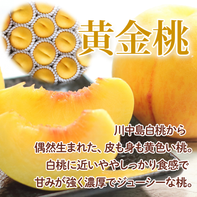 信州産 桃 あかつき 川中島白鳳 なつっこ 黄金桃 おどろき 約3kg 約5kg