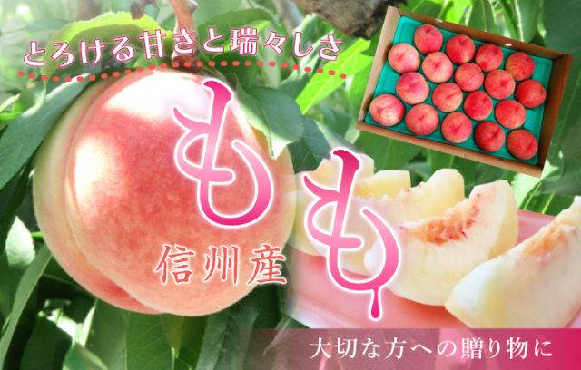 信州千曲の産直ショップ！信州産あんず、なめ茸、昆虫食は産直市場