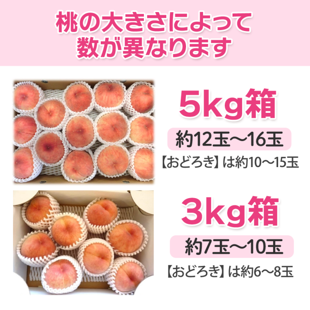 信州産 桃 あかつき 川中島白鳳 なつっこ 黄金桃 おどろき 約3kg 約5kg