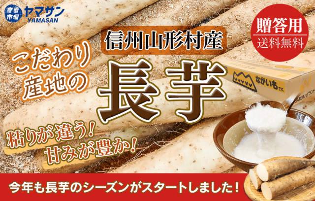 信州千曲の産直ショップ！信州産あんず、なめ茸、昆虫食は産直市場