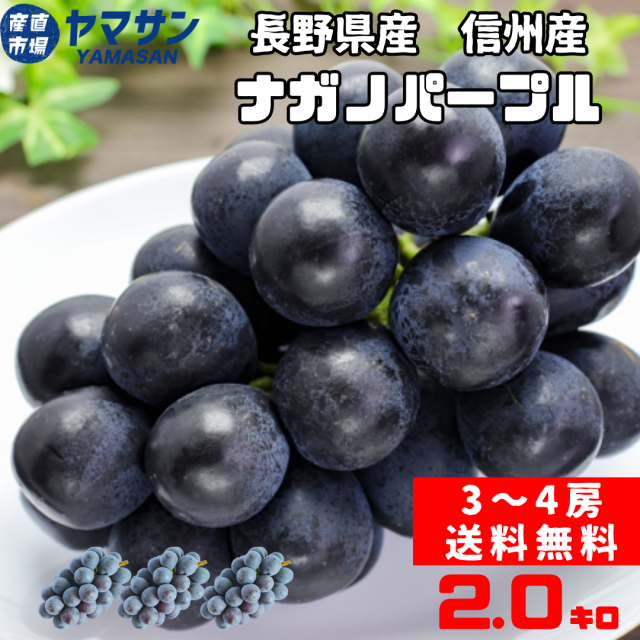 【送料無料】種無し・皮まで食べられる！信州産ナガノパープル　2ｋ箱使用（3～4房入り)