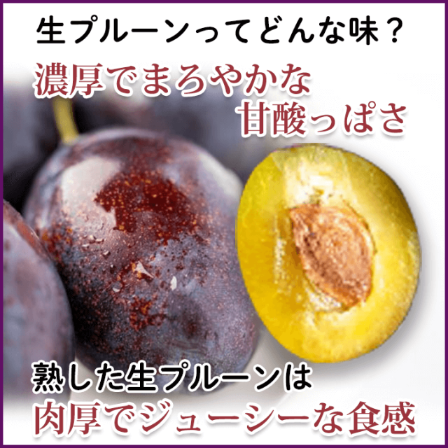 送料無料】生産量1位 長野県産プルーン 生プルーン ぷるーん 約