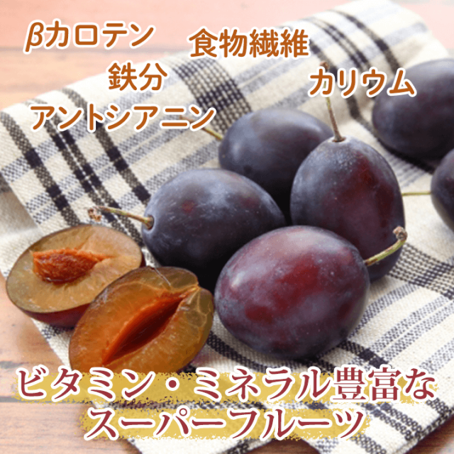 長野県プルーン4kgクール便 フォロワー様クーポン付き😍長野県産生プルーン！激安品！約4kg