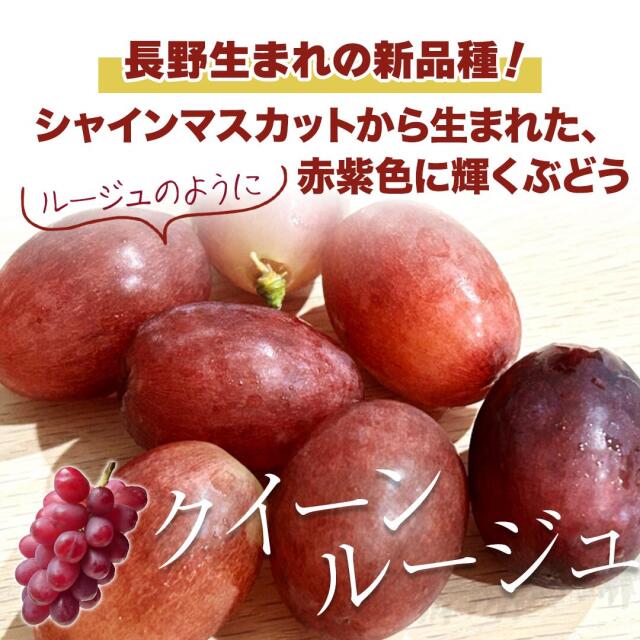信州産クイーンルージュ 2房（約1kg）【予約販売・9月上旬から