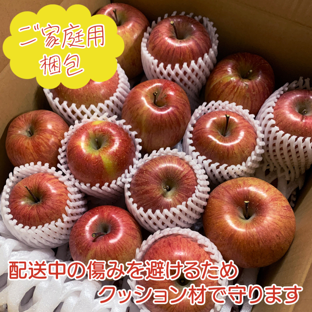 送料無料※ 長野県産 訳あり サンふじ りんご 家庭用 約5kg 約10kg 林檎