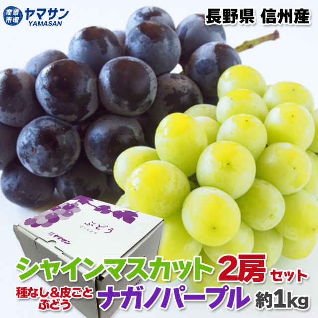 シャインマスカット　ナガノパープル　ぶどうセット