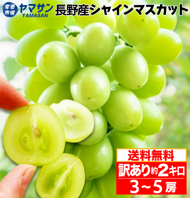 199バラ・２ｋｇご家庭用訳ありシャインマスカット！ 訳あり特価】長野県産 シャインマスカット 秀品 約2kg（3〜
