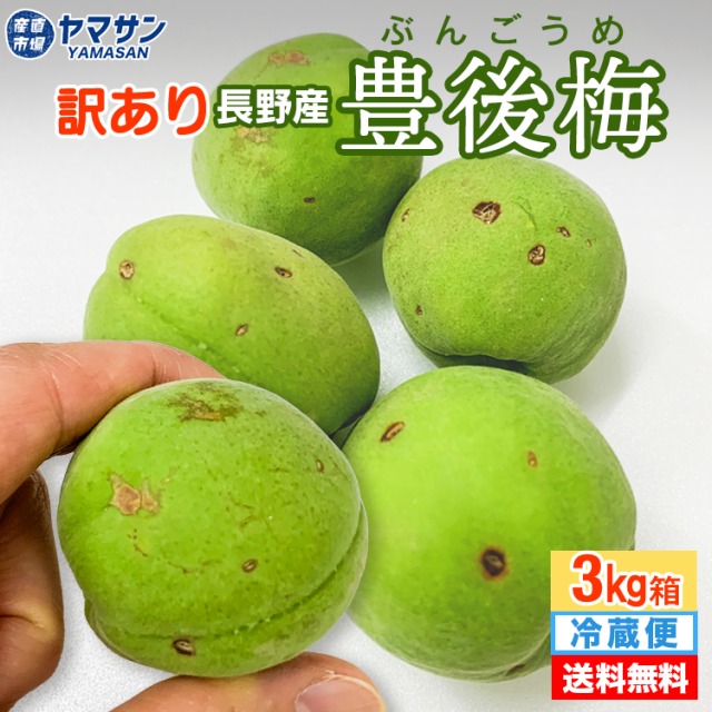 訳あり豊後梅