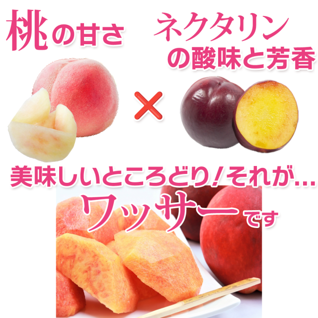 ワッサークイーン 長野産 5kg箱（18〜22玉） 【送料無料