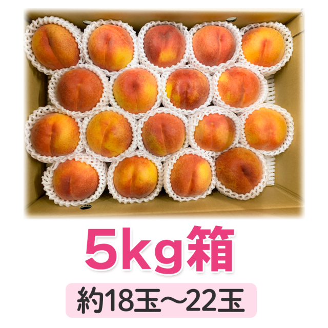 ワッサークイーン 長野産 5kg箱（18〜22玉） 【送料無料・クール