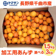 ★終了間近　訳あり　平和　ハネダシ　8kg 信州産 あんず　杏　生あんず ☆終了間近 訳あり 平和 ハネダシ 8kg 信州産 あんず 杏 生