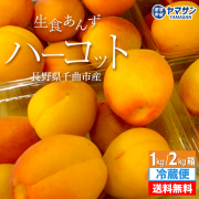信州千曲の産直ショップ！信州産あんず、なめ茸、昆虫食は産直市場