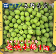 梅（小梅・豊後梅）｜信州千曲から新鮮フルーツを産地直送！｜産直市場