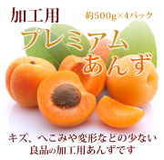 信州千曲の産直ショップ！信州産あんず、なめ茸、昆虫食は産直市場 