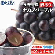 旬の果物｜生あんず、桃、ぶどう、シャインマスカット、りんごなどを