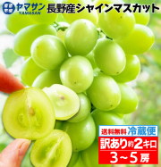 旬の果物