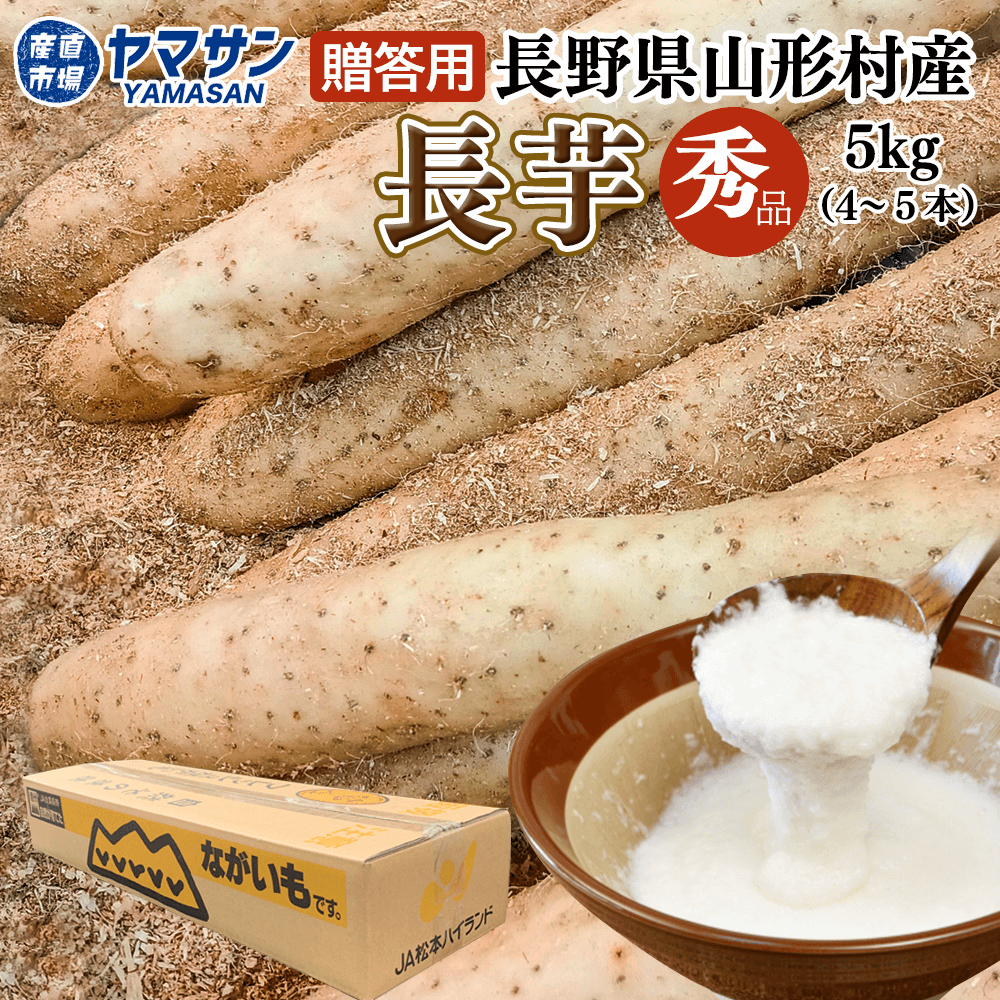 長野県産新鮮サンザシ10kg(中大粒) ≪人気≫長野産 安曇野高原の