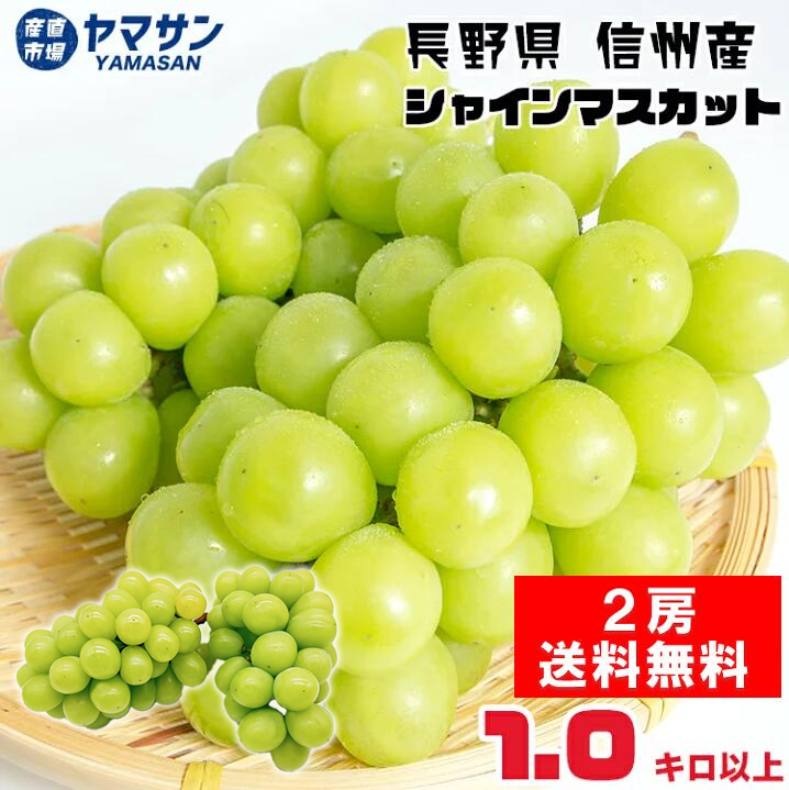 予約 長野県産 シャインマスカット 2kg (3~5房) 産地直送 秀品 ギフト 